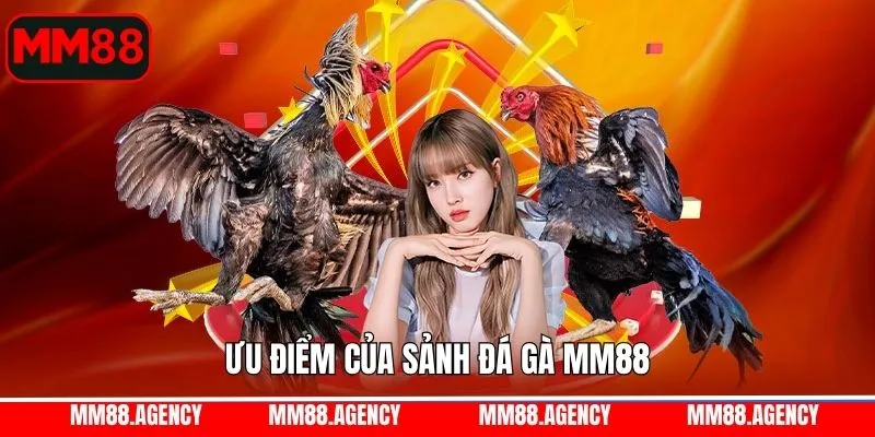 Tính an toàn, minh bạch tại đá gà MM88
